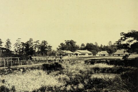 『越山若水』1910年収載。加藤竹雄家文書A0052-01441 福井県文書館蔵