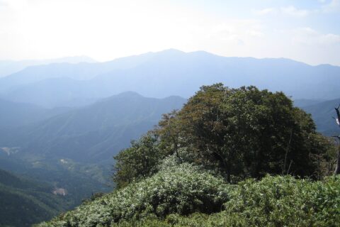 後山——照片 3
