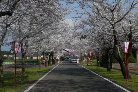 母智丘・關之尾縣立自然公園——照片 5