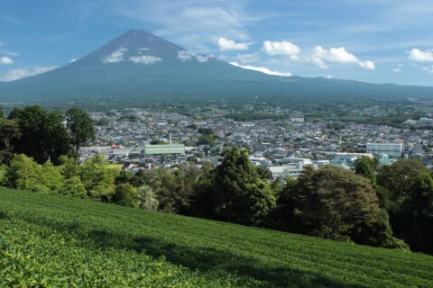 Fuji view from Fujinomiya — photo 4