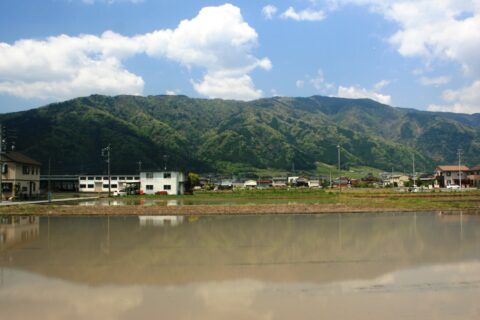 東方の麓から望む池田山（パラグライダーが飛ぶ）