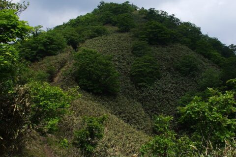 後山——照片 1