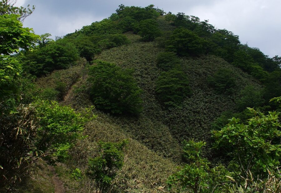Mount Ushiro, Hyogo