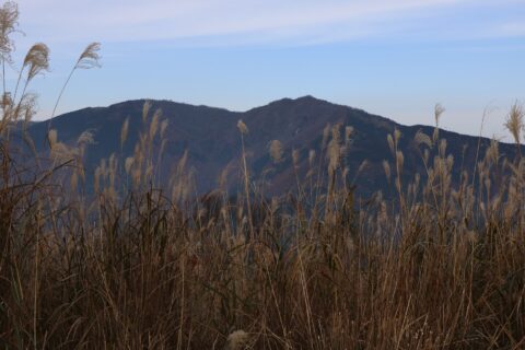 ​後山を南から望む。日名倉山から撮影。