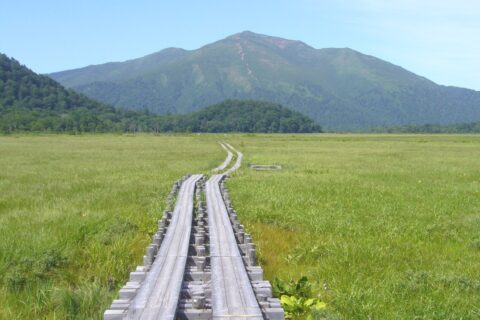 群馬県利根郡片品村にある尾瀬の尾瀬ヶ原を構成する湿原のひとつ中田代湿原と至仏山。麓に見えるの山が突き出している部分は「牛首」と呼ばれるところ。木道が延々と伸びている。