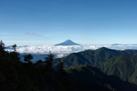 甲武信岳頂上より富士山を望む