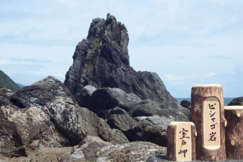 室戸岬 ビシャゴ岩