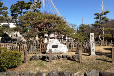 ruin of nagahama-jo honmaru
