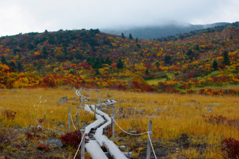名残ヶ原 Nagoriga-hara marsh