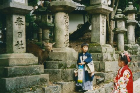 Nara is the capital city of Nara Prefecture in the Kansai region of Japan. Eight temples, shrines and ruins in Nara, specifically Tōdai-ji, Saidai-ji, Kōfuku-ji, Kasuga Shrine, Gangō-ji, Yakushi-ji, Tōshōdai-ji and the H