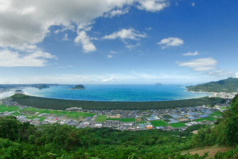 虹の松原を南から見る。鏡山から撮影。