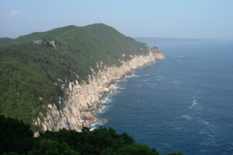 大堂海岸の画像