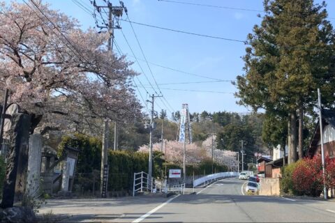 岩室バイパス開通により指定解除された新潟県道2号新潟寺泊線の旧道。「北国街道」の標柱が見られる。「多宝温泉だいろの湯」付近（新潟市西蒲区，2020年4月）