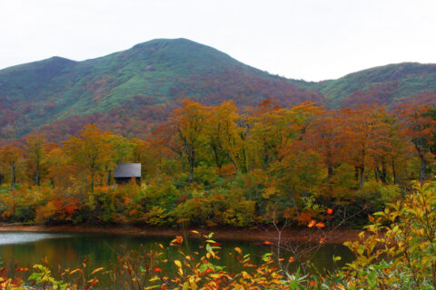 秣岳 Peak Magusa