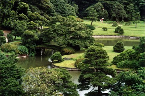 Rikugien, a Japanese garden in Tokyo, Japan. I took the photo.