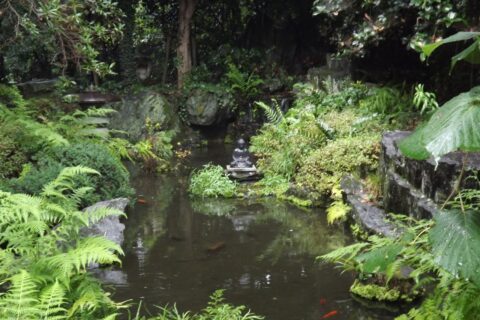 ​霊山寺の池