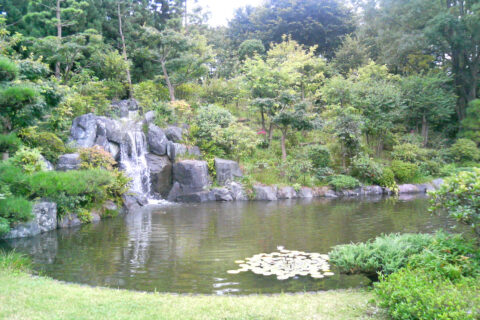 彩翔亭 (さいしょうてい) - 所沢航空記念公園内にある日本庭園 ・茶室