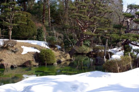 酒井氏庭園。致道博物館内。