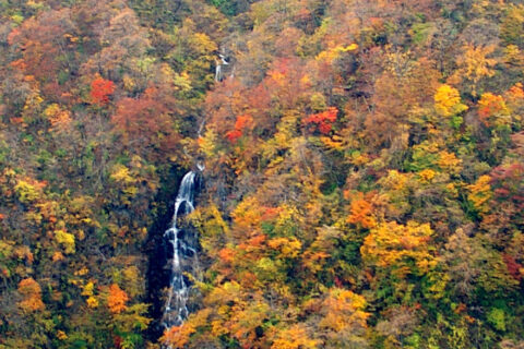 Sankai falls, at Zao, Miyagi pref., Japan. I took this photo on 05 Nov, 2007.