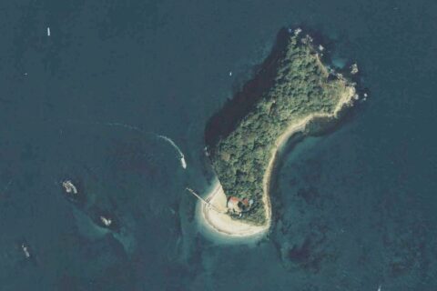 Sarushima