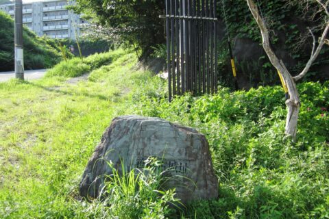笹岡古城址（静岡県浜松市天竜区二俣町二俣）