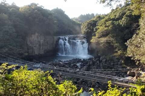 母智丘・關之尾縣立自然公園——照片 4