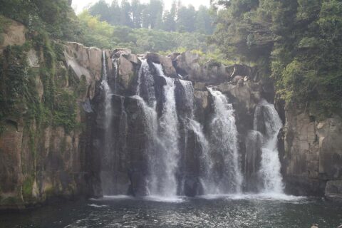 母智丘・關之尾縣立自然公園——照片 1