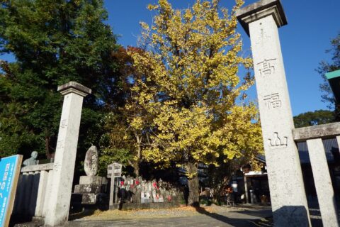 雪蹊寺 石柱門