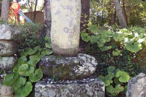 雪蹊寺の芭蕉の句碑