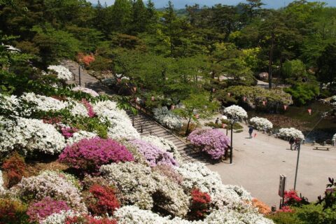 千秋公園 本丸から胡月池を望む 2008年5月16日 投稿者撮影
