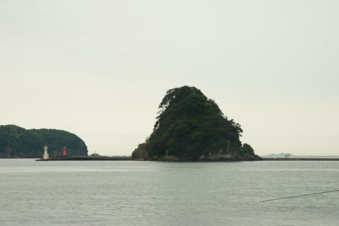 下田の湾内です。