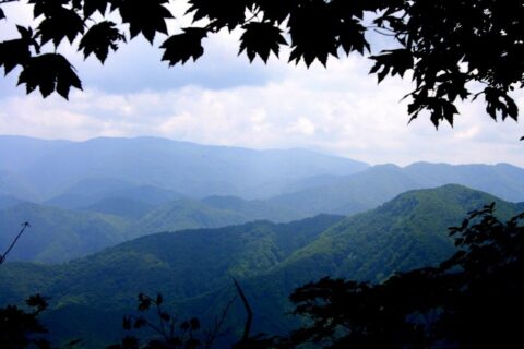 Shirakami Sanchi. View from the "mountain ridge" trail, Tohoku.
