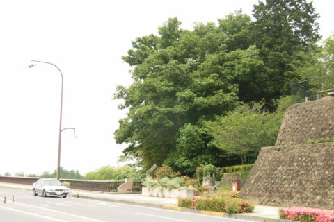 Oyama Castle