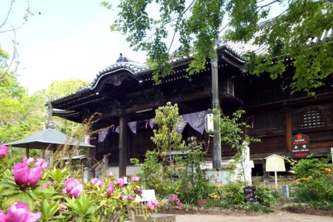 志度寺 本堂