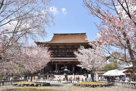 Spring Kinpsen