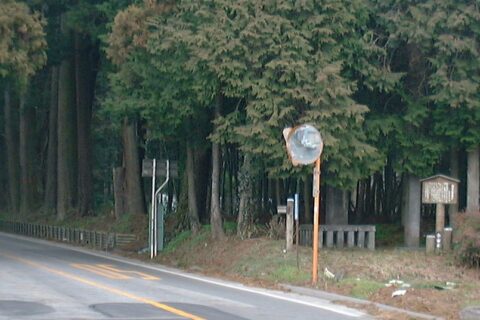 例幣使街道 杉並木寄進碑