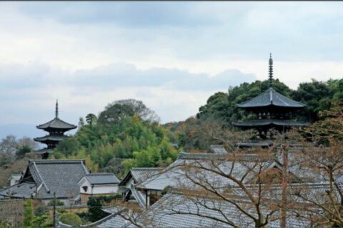 Taemaji 2