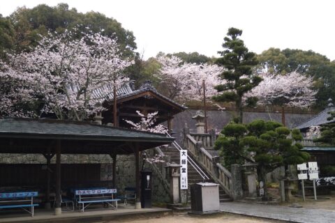 ​太山寺 境内