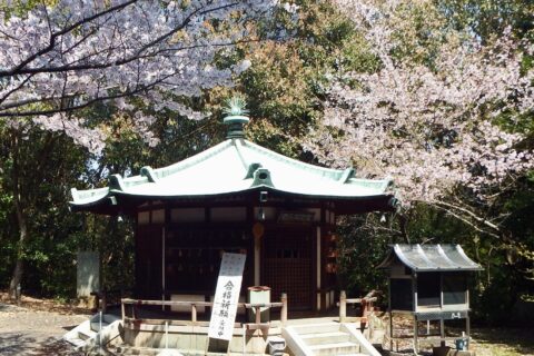 ​太山寺 聖徳太子堂
