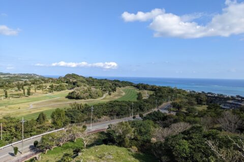 View from the top of the wooden guide rail that leads to the castle entrance.