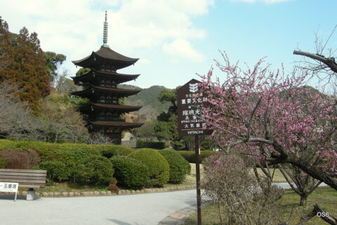 瑠璃光寺 (Temple)