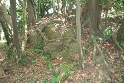 布勢天神山城の櫓台。戦国時代にはこの岩塊上に三重の天守がそびえていたとされる。