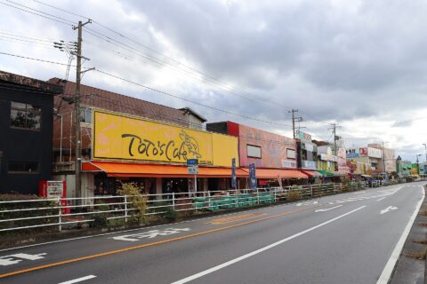 Teradomari Fish Market Street — photo 6