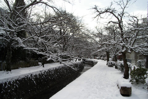 Kyoto philosophers walk, Kyoto, Japan in a snowy day. 雪の日の京都市左京区・哲学の道
