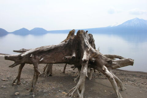 支笏湖（The alien of Lake Shikotsu-ko）
