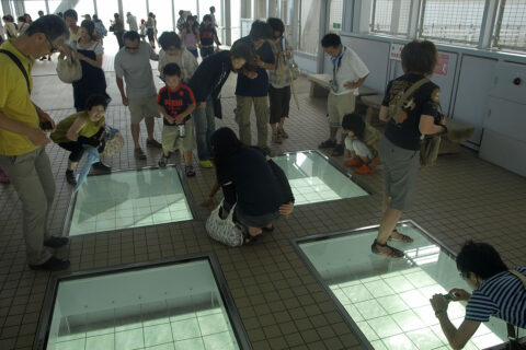 大鳴門橋「渦の道」の展望台