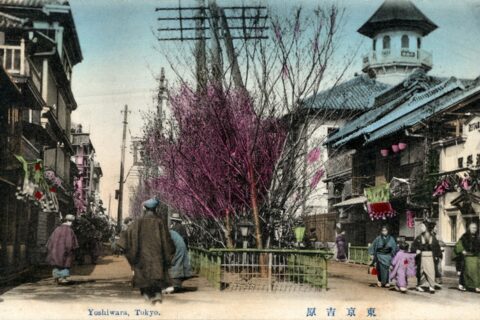 絵葉書 東京 吉原。手彩色絵葉書東京吉原（明治大正時代）