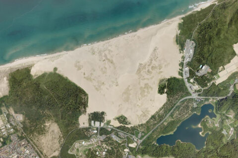 鳥取県の鳥取砂丘の航空写真 (オルソ画像)。狭義には浜坂砂丘と呼ばれる部分。撮影日は2009年8月-9月。