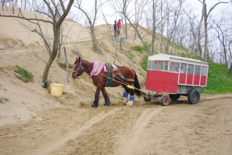 Tottori Sand Dune in Tottori, Tottori prefecture, Japan