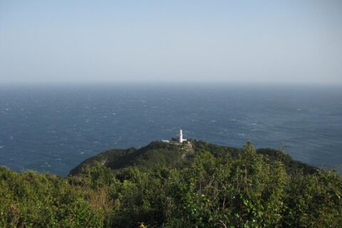 Nippō Kaigan Quasi-National Park — photo 8